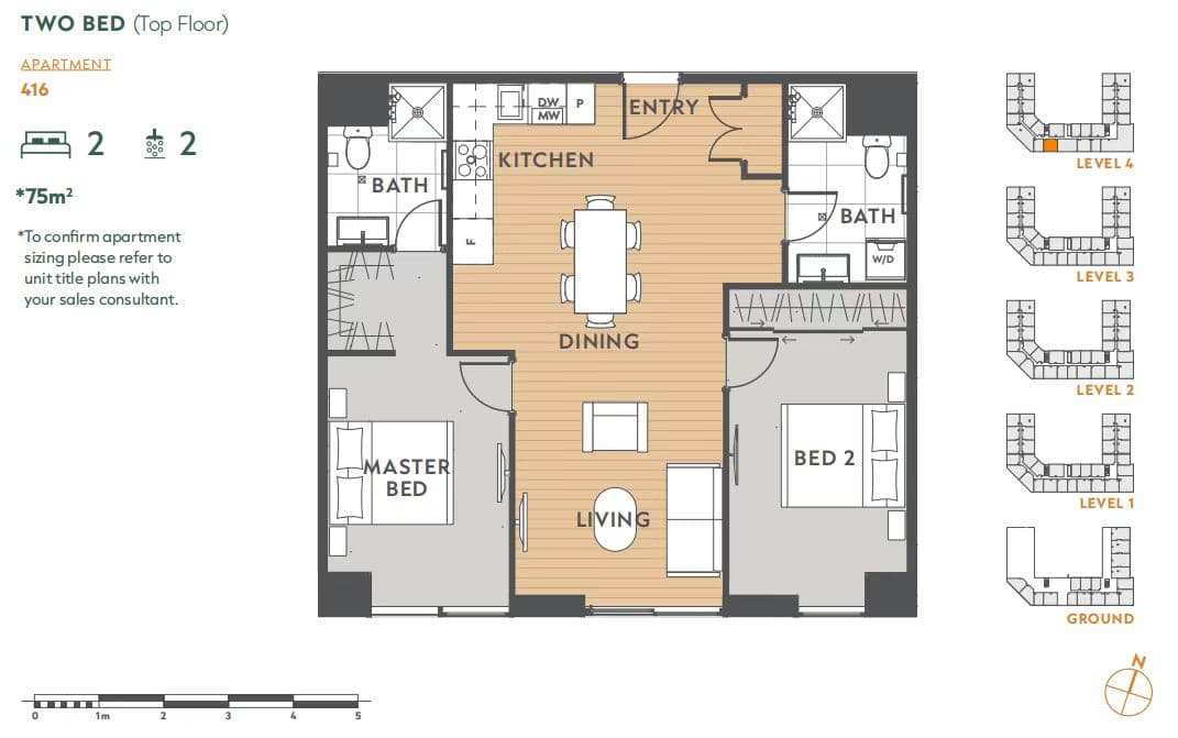 Layout